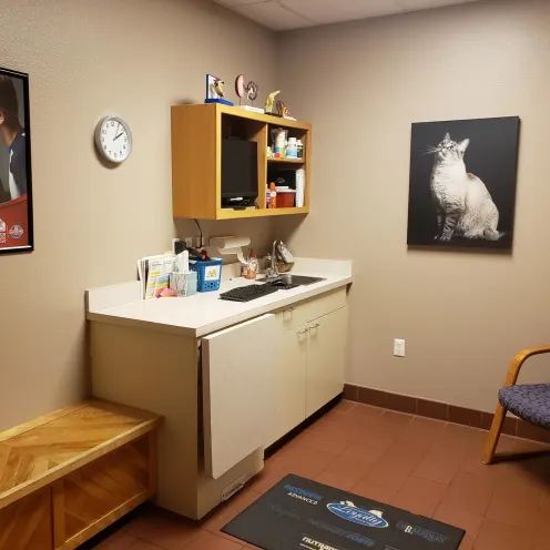 Cat examination room at Friendship Hospital for Animals